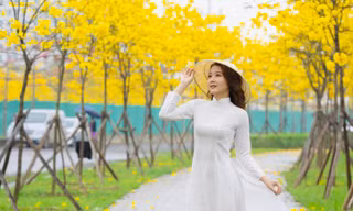 Đẹp nao lòng con đường ở Hà Đông ngập tràn sắc hoa vàng, đỏ 
