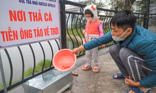 Hà Nội: 'Cá chép bơi đi, nilon ở lại' 