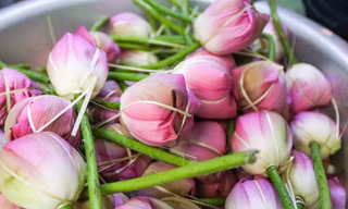 Cận cảnh quy trình ướp trà sen đệ nhất trà Hà thành, giá cả chục triệu đồng/kg