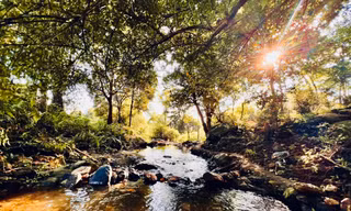 Trốn nắng nóng ở con suối mát cực chill ngay ngoại thành Hà Nội 