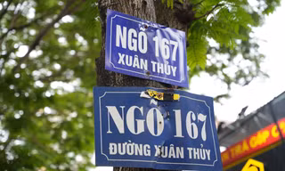 Hàng trăm biển quảng cáo 'tấn công' cây xanh ở Thủ đô
