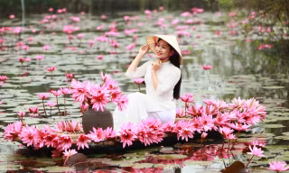 Mê mẩn những mùa hoa gây thương nhớ ở Hà Nội