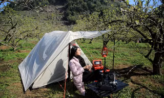 Rừng hoa mận nở trắng trời Mộc Châu thu hút giới trẻ lên cao nguyên cắm trại