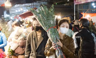 Chợ hoa Quảng An nhộn nhịp ngày Tết, tiểu thương trưng dụng gara ô tô làm nơi buôn bán