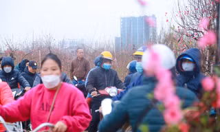Người dân chen chân mua đào Nhật Tân trước Tết