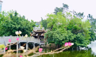 Độc đáo nơi trú ngụ của đàn chim giữa lòng hồ Trúc Bạch