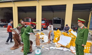 Dùng xe chở thư báo để vận chuyển trái phép gỗ 