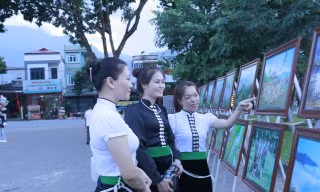 Yên Bái lần đầu tổ chức lễ hội trà Shan tuyết