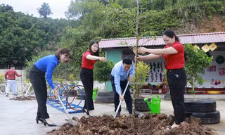 Tuổi trẻ Yên Bái với hành trình xây dựng quê hương xanh