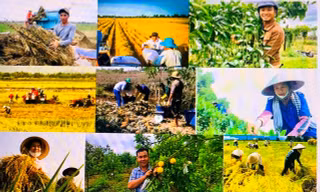 Thu thập thông tin liên quan hơn 62 triệu người ở nông thôn
