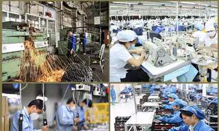 Lý do thu nhập của người lao động sụt giảm 