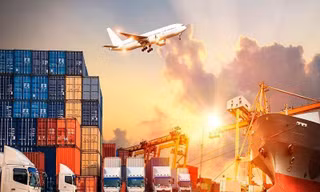 Cổ phiếu hàng hoá hồi phục, các mã chứng khoán có 'họ' với DNP miệt mài tăng trần 