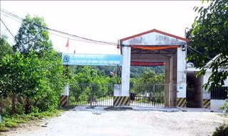 Đề nghị xử phạt trại lợn 'đầu độc' hồ Tràng Đen