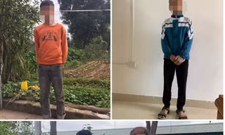 Tóm gọn nhóm trộm nhí hoành hành liên huyện
