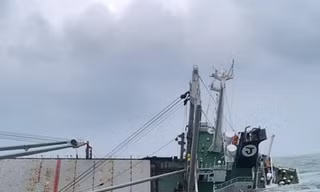 Tàu hàng nguy cơ chìm, cứu thành công 18 thuyền viên
