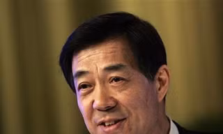 Bạc Hy Lai tuyệt thực