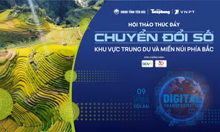 Đánh thức nhiều tiềm năng 