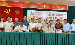 Hợp tác phát triển giống cây trồng của Hà Nội: Kiến tạo nền nông nghiệp sinh thái