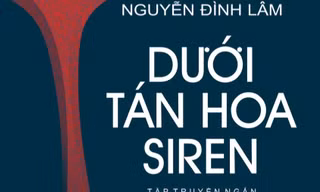 Một thực thể Việt và những mảnh vỡ của số phận... 