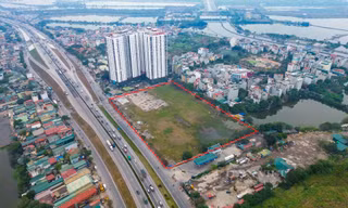 Sau 7 năm, khu đất đắc địa xây bến xe mới ở Hà Nội vẫn chỉ là bãi đất trống chăn thả trâu, gà vịt