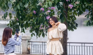 'Nàng thơ' chen nhau tạo dáng bên con đường hoa bằng lăng nở rực rỡ