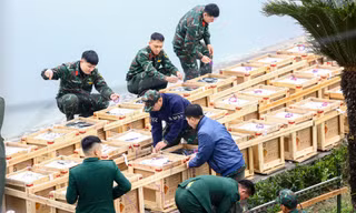 Tận thấy trận địa pháo hoa ở Hà Nội trước giờ khai hỏa
