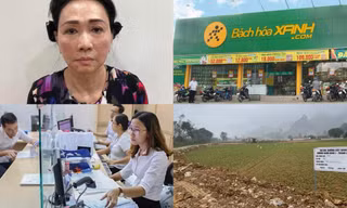 Trương Mỹ Lan thao túng Ngân hàng SCB; số phận 'con cưng' của Thế giới Di động