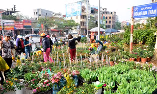 Những ngày giáp Tết, chợ hoa Hoàng Hoa Thám tấp nập người mua sắm.