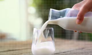 Bệnh nhân ung thư phải kiêng uống sữa vì sẽ 'nuôi khối u phát triển'?