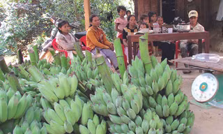Được chuối, đuối ta-luy