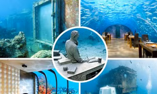 Khám phá 7 kỳ quan thế giới dưới đáy đại dương