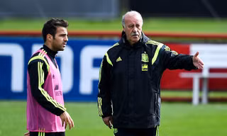 Không chịu nổi cảnh chướng tai gai mắt, HLV Del Bosque đã yêu cầu Fabregas cởi áo bíp đưa lại cho Xabi Alonso rồi tống cổ anh khỏi sân