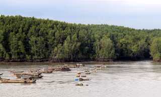 Mênh mang sông Lòng Tàu