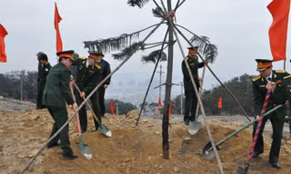Trồng hàng ngàn cây xanh dịp Tết trồng cây 