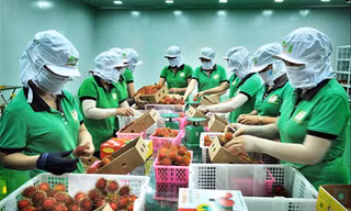 Nhiều DN bày tỏ mong muốn các bộ, ngành cần có chính sách mạnh mẽ hỗ trợ DN; địa phương cần thống nhất quy định về di chuyển