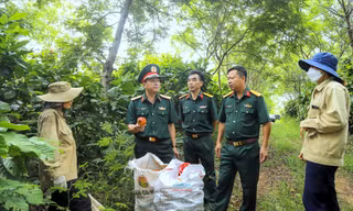 Sức trẻ Quân khu 5 
