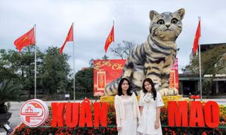 Tâm tình của tác giả 'hoa hậu' mèo Quảng Trị 