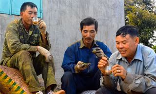 Những người nông dân tranh thủ uống cà phê lúc nghỉ giải lao 