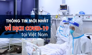 Thông tin mới nhất về diễn biến dịch COVID-19 tại Việt Nam