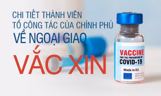 Chi tiết nhân sự Tổ công tác của Chính phủ về ngoại giao vắc xin