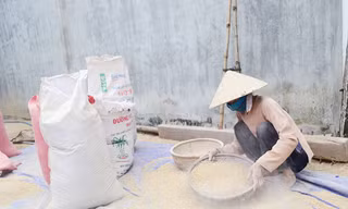 Bụi đá tấn công 9.000 dân