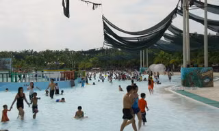 Trường Tiểu học Âu Dương Lân, quận 8 nơi học sinh xảy ra sự cố 
