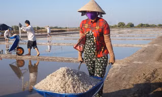 Cận cảnh 'nghề gieo nước biển' đầu năm ở phương Nam