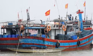 Huế gấp rút thông báo tàu thuyền tìm nơi trú ẩn an toàn do thời tiết nguy hiểm