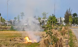 Mịt mù khói đốt đồng mùa gặt ở Huế