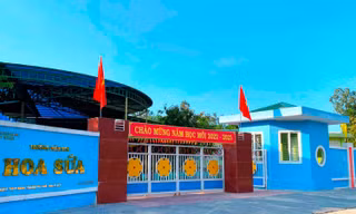 Buộc thôi việc 2 giáo viên mầm non ở Huế vì dùng bằng giả