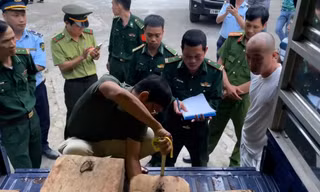 Bắt quả tang hai ô tô vận chuyển gỗ lậu về thành phố 