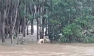 Tìm thấy thi thể người đàn ông sau hơn nửa tháng mất tích ở TT-Huế