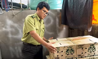 Gần 1.000 cá thể chim hoang dã bị giấu trong nhà vệ sinh bến xe tại Huế