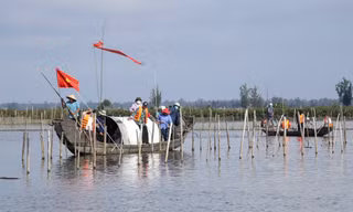 Ra quân ‘giải vây’ mặt nước đầm phá Tam Giang - Cầu Hai